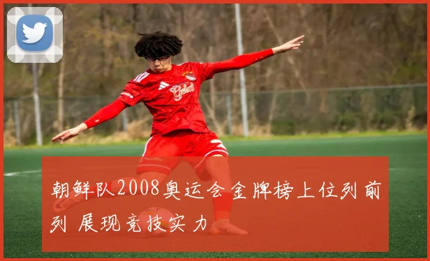 朝鲜队2008奥运会金牌榜上位列前列 展现竞技实力