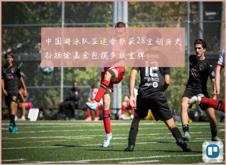 中国游泳队亚运会斩获28金创历史孙杨徐嘉余包揽多枚金牌