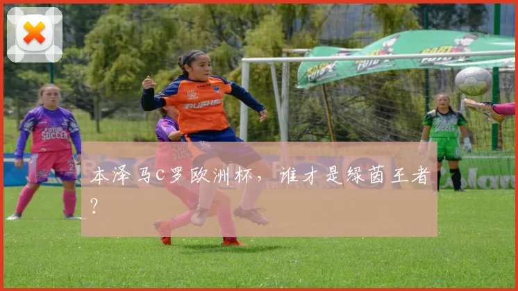 本泽马c罗欧洲杯，谁才是绿茵王者？
