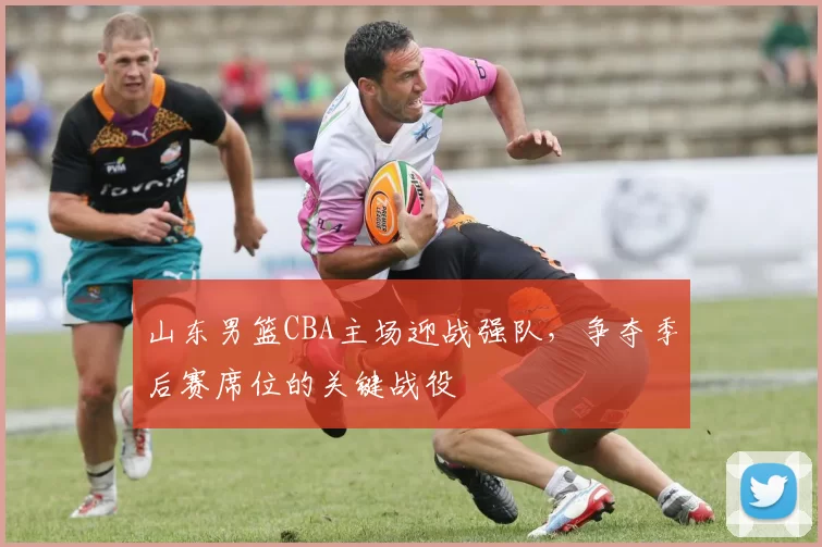 山东男篮CBA主场迎战强队，争夺季后赛席位的关键战役